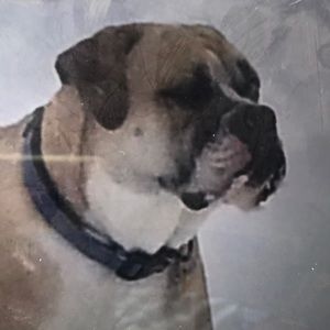 Meet your Posher, Teresa